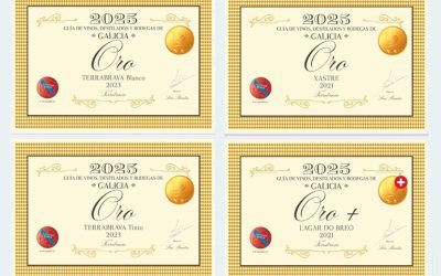 Vinos Gallegos Premiados en 2025