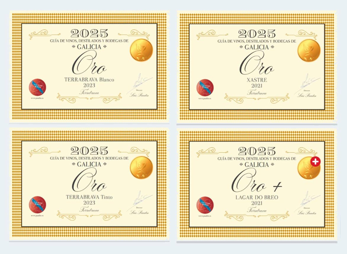 Vinos gallegos premiados 2025 Vinos gallegos premiados 2025